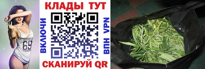 Купить закладку Гашиш  Бошки Шишки  А ПВП  Меф мяу мяу  АМФ  Кокаин  Нолинск