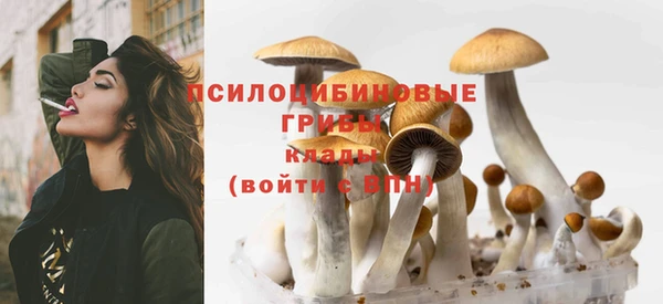 альфа пвп Няндома