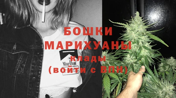 шишки Нязепетровск