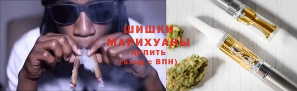 шишки Нязепетровск