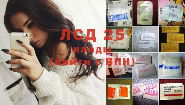 шишки Нязепетровск