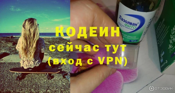 шишки Нязепетровск