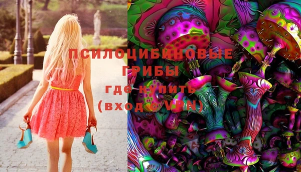 шишки Нязепетровск