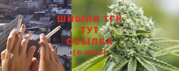 шишки Нязепетровск