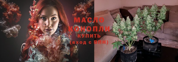 шишки Нязепетровск