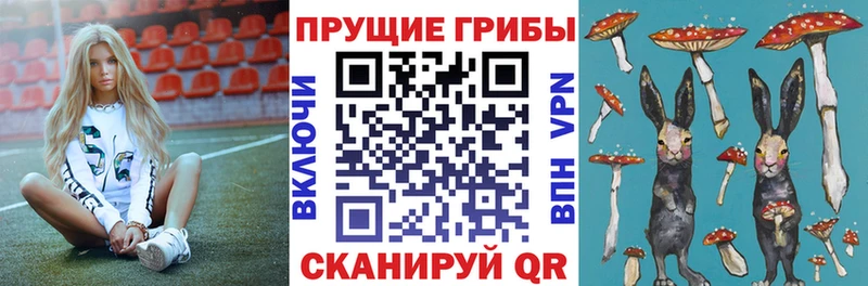 Купить где  Нолинск  Псилоцибиновые грибы MAGIC MUSHROOMS 